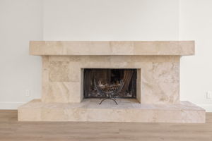 LR Fireplace - 495A7871