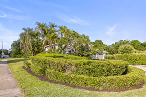 Side 2 Yard - 495A7928