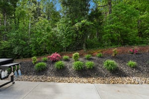 Poplar Cv Dr NW-S1804-031.jpg