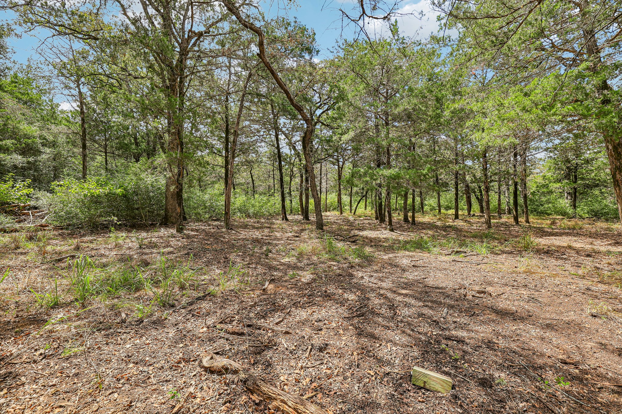 - 267 Corral Rd-S1709-2-003.jpg