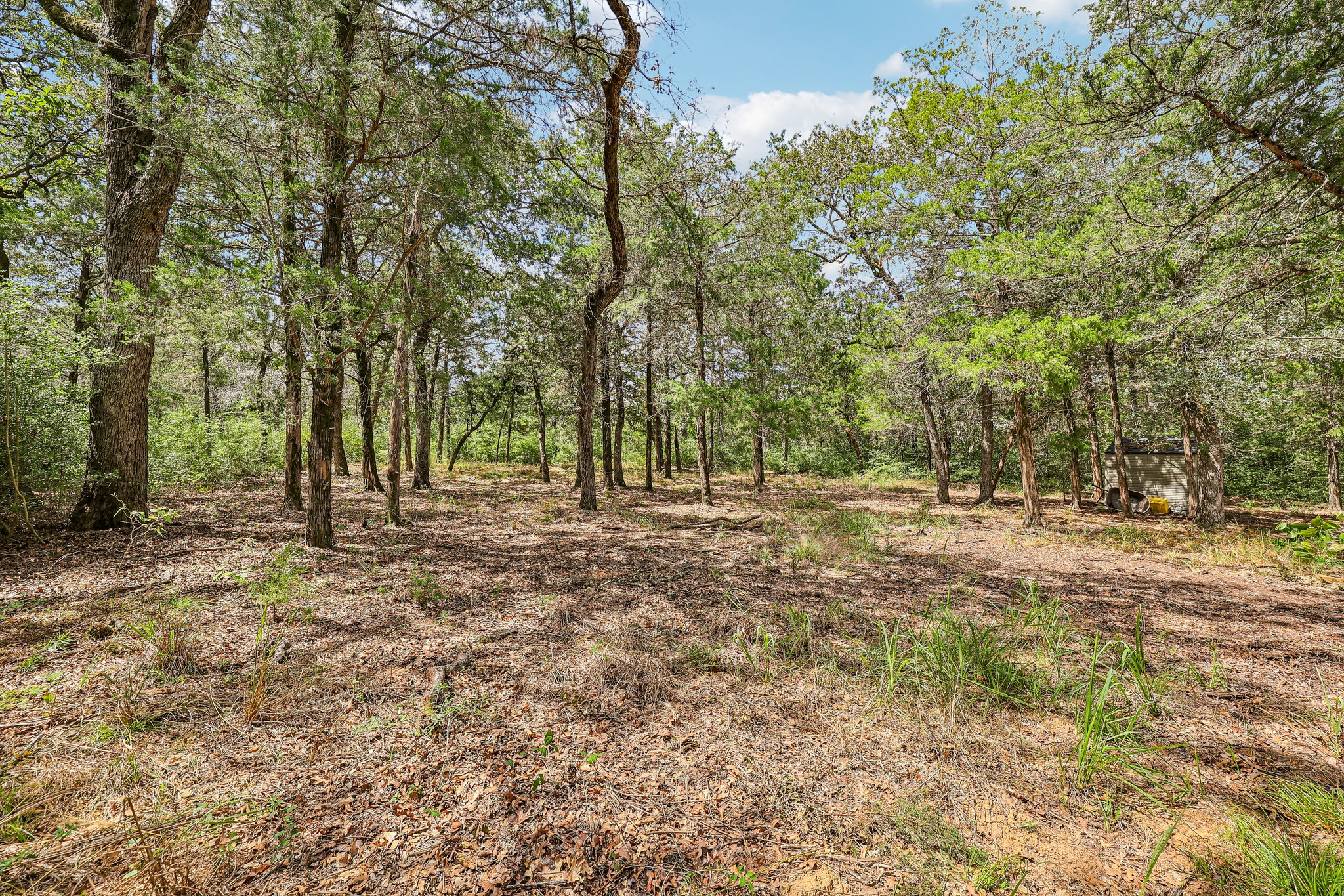 - 267 Corral Rd-S1709-2-004.jpg