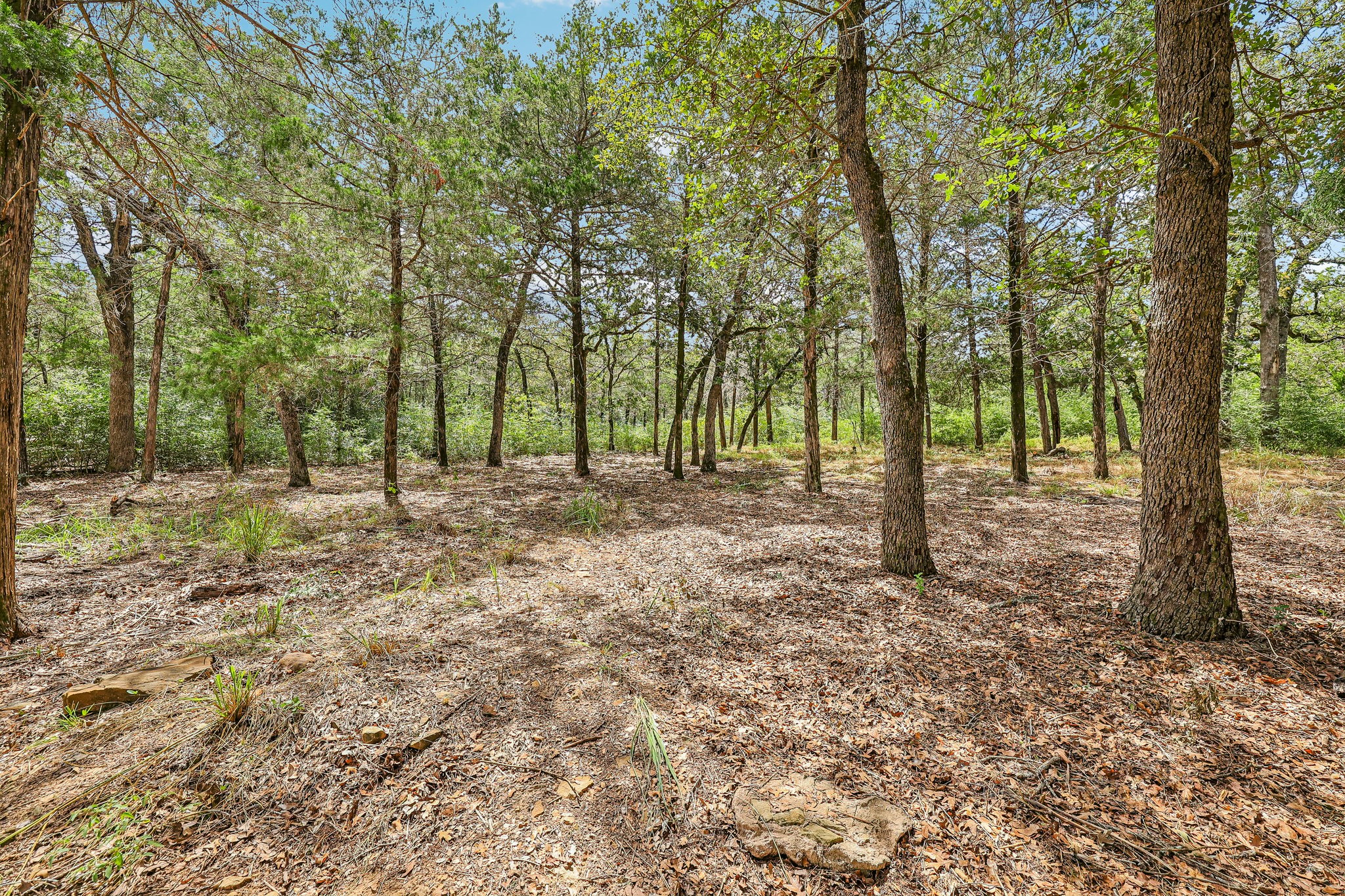 - 267 Corral Rd-S1709-2-005.jpg