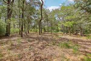 - 267 Corral Rd-S1709-2-004.jpg