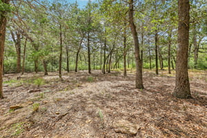- 267 Corral Rd-S1709-2-005.jpg
