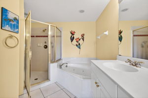 Primary Bathroom 2
