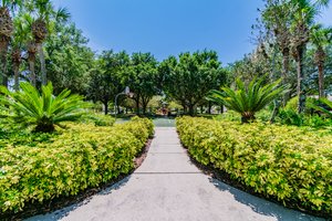 DSC_0607.jpg