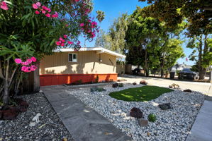  Photo 44