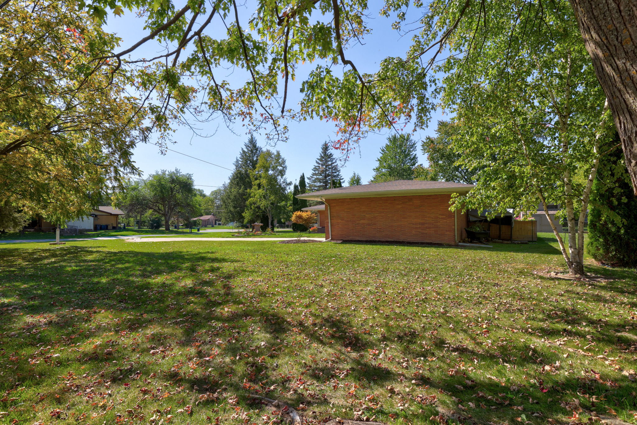  Photo 43