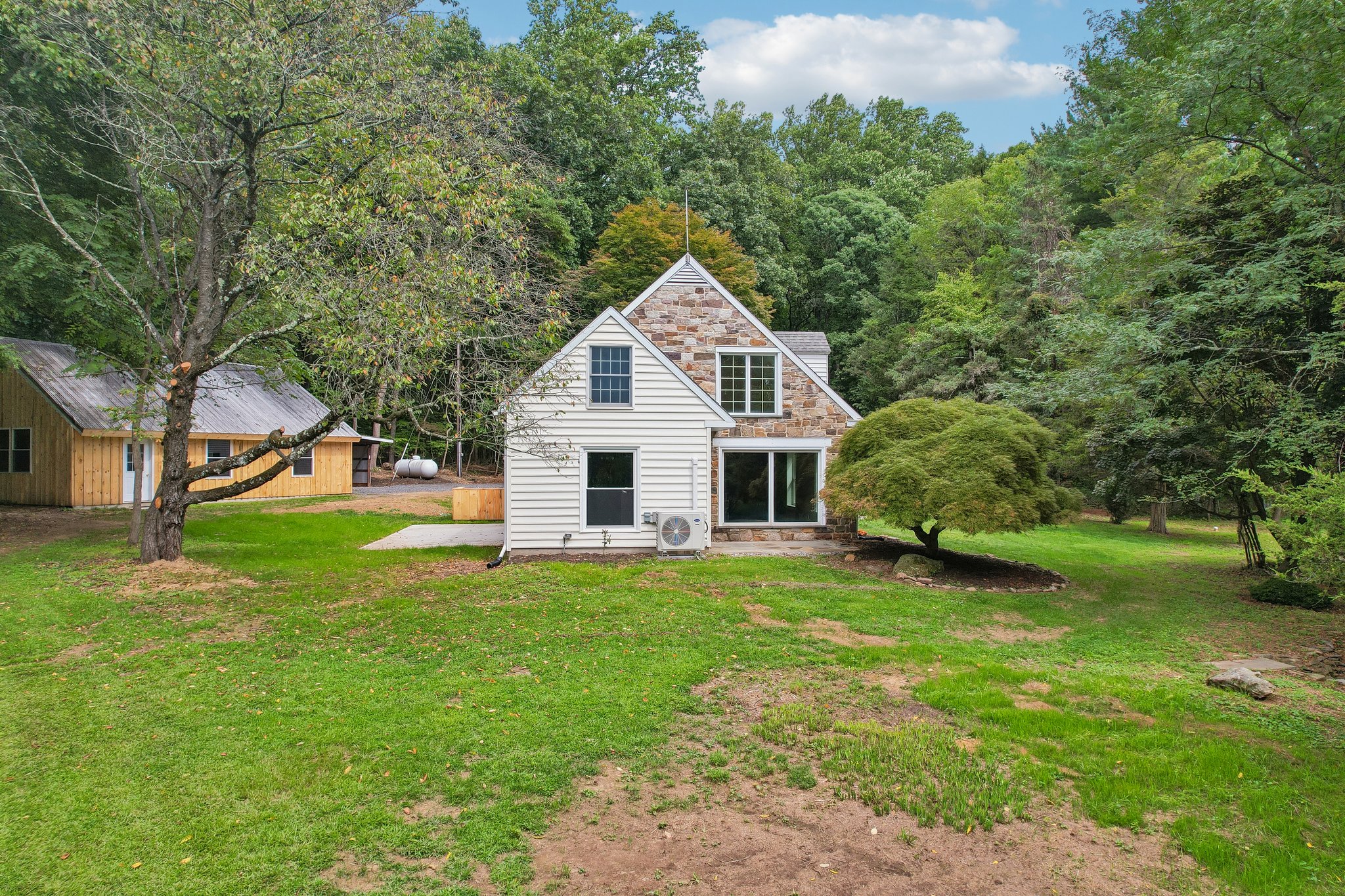 Banko Ln-S1109-042.jpg