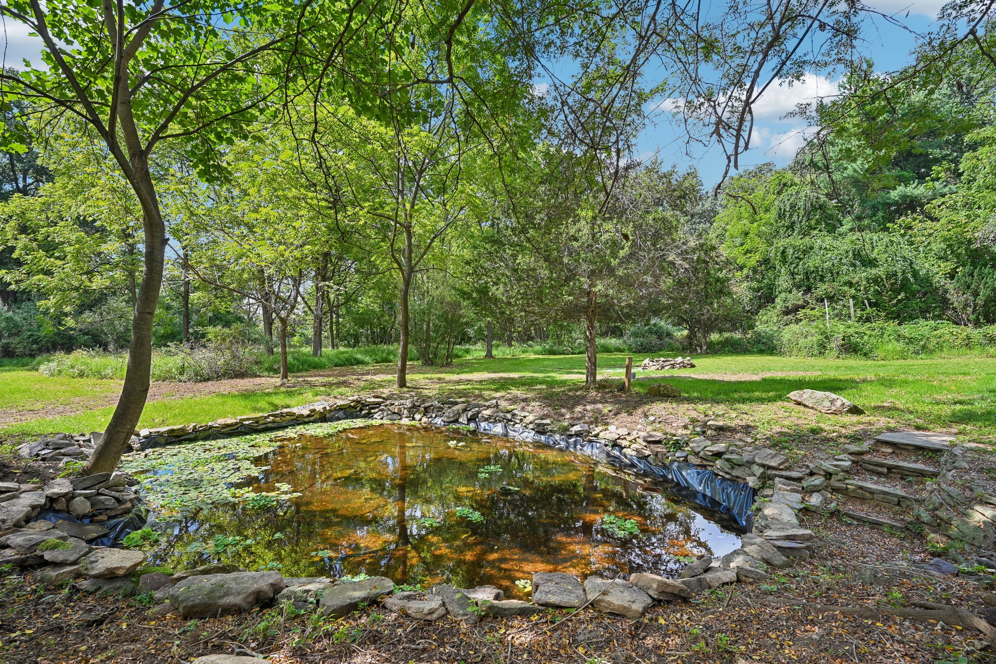 Banko Ln-S1109-049.jpg