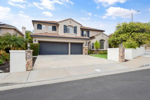 16096 Valley Meadow Place-1