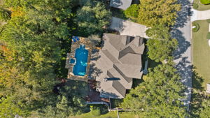 Birds Eye View