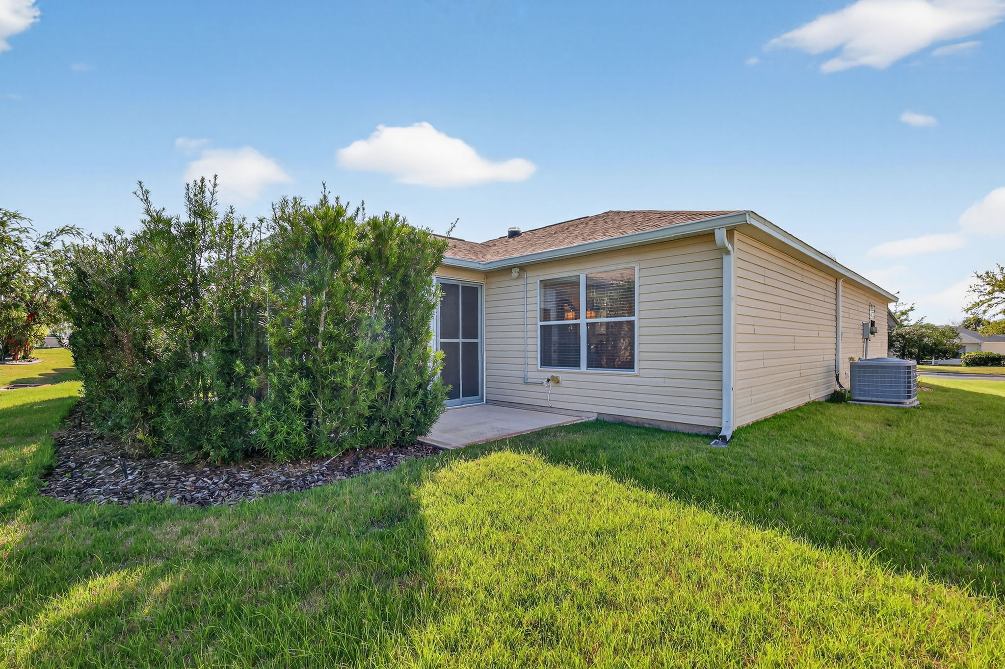 Rear and Side Elevation with Patio and Privacy Landscaping