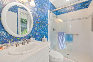 Guest Bathroom 2