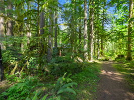  Photo 45