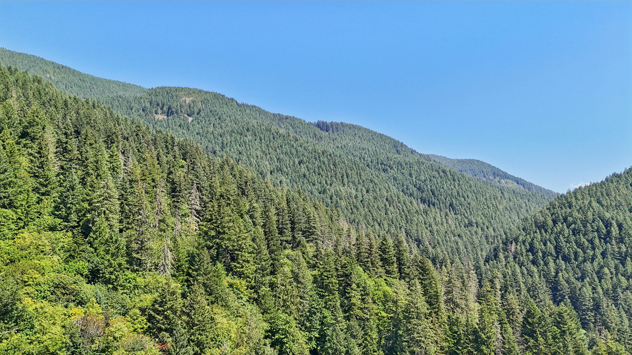 E Henry Creek Rd-S3110-085