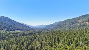 E Henry Creek Rd-S3110-084