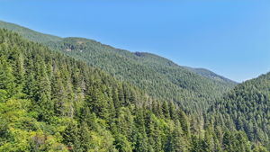 E Henry Creek Rd-S3110-085