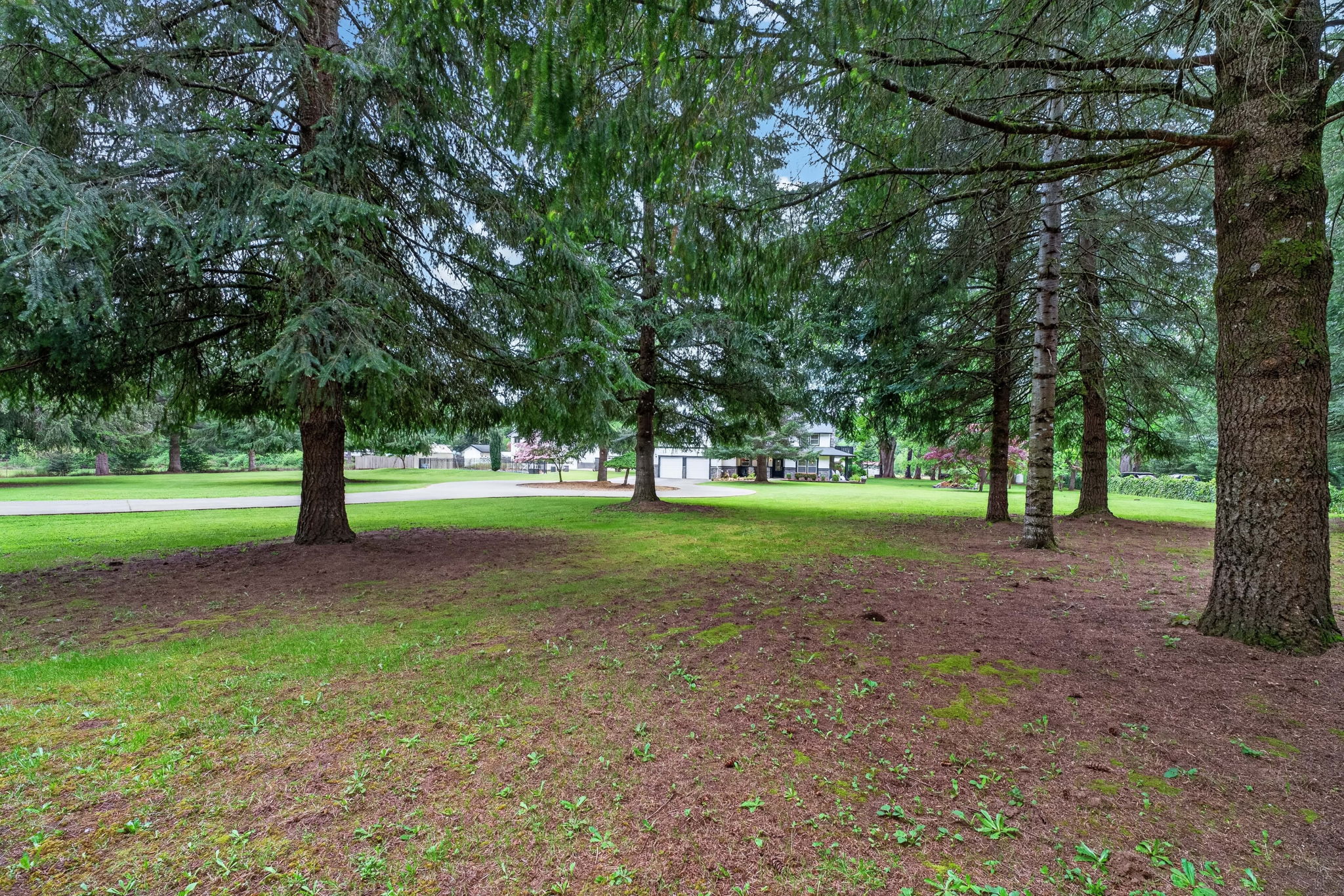  Photo 41