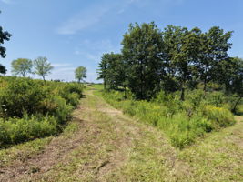  Photo 41