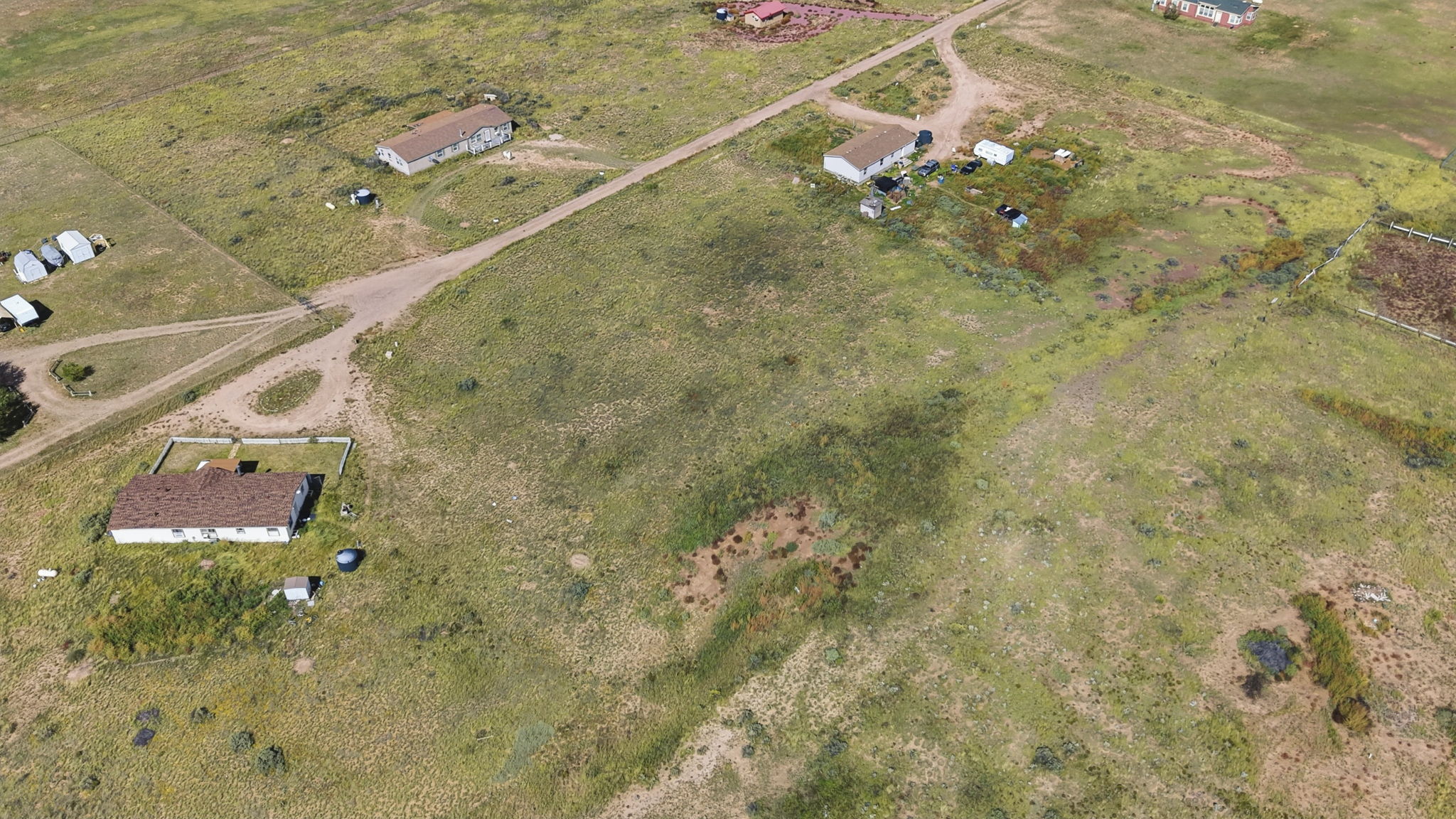 Birds Eye
