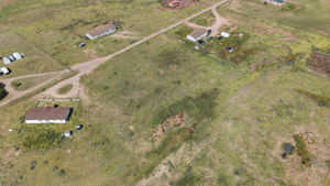 Birds Eye
