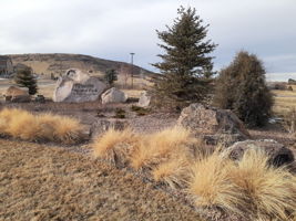 Near Rhyolite Park