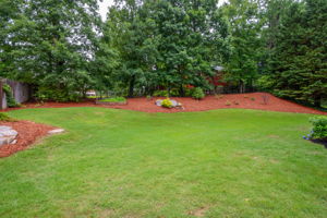 Back yard