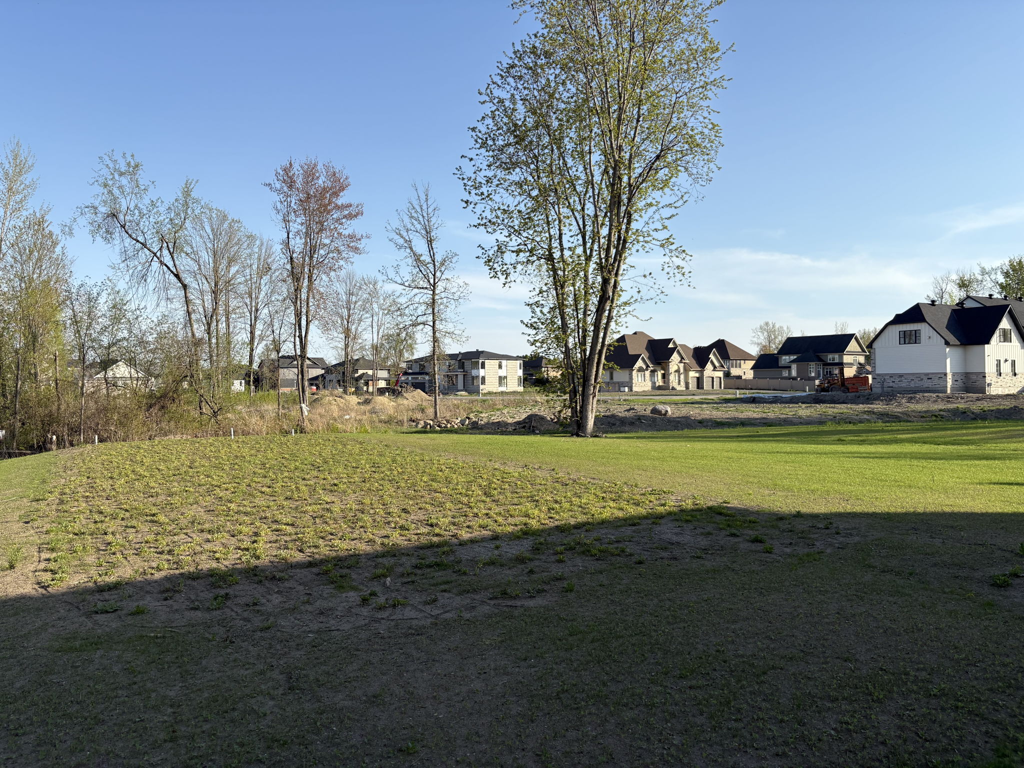 Photo 61