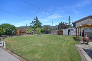  Photo 38