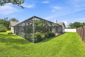 Backyard1