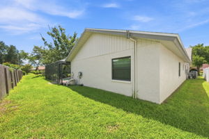Backyard2