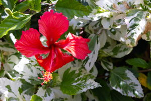  Photo 30