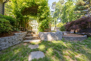  Photo 50