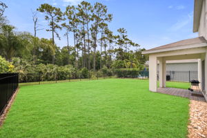 Yard View 2