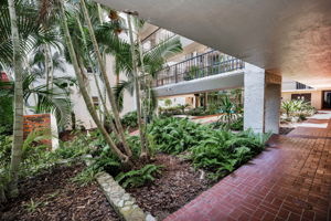 Entry View
