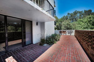 Patio3
