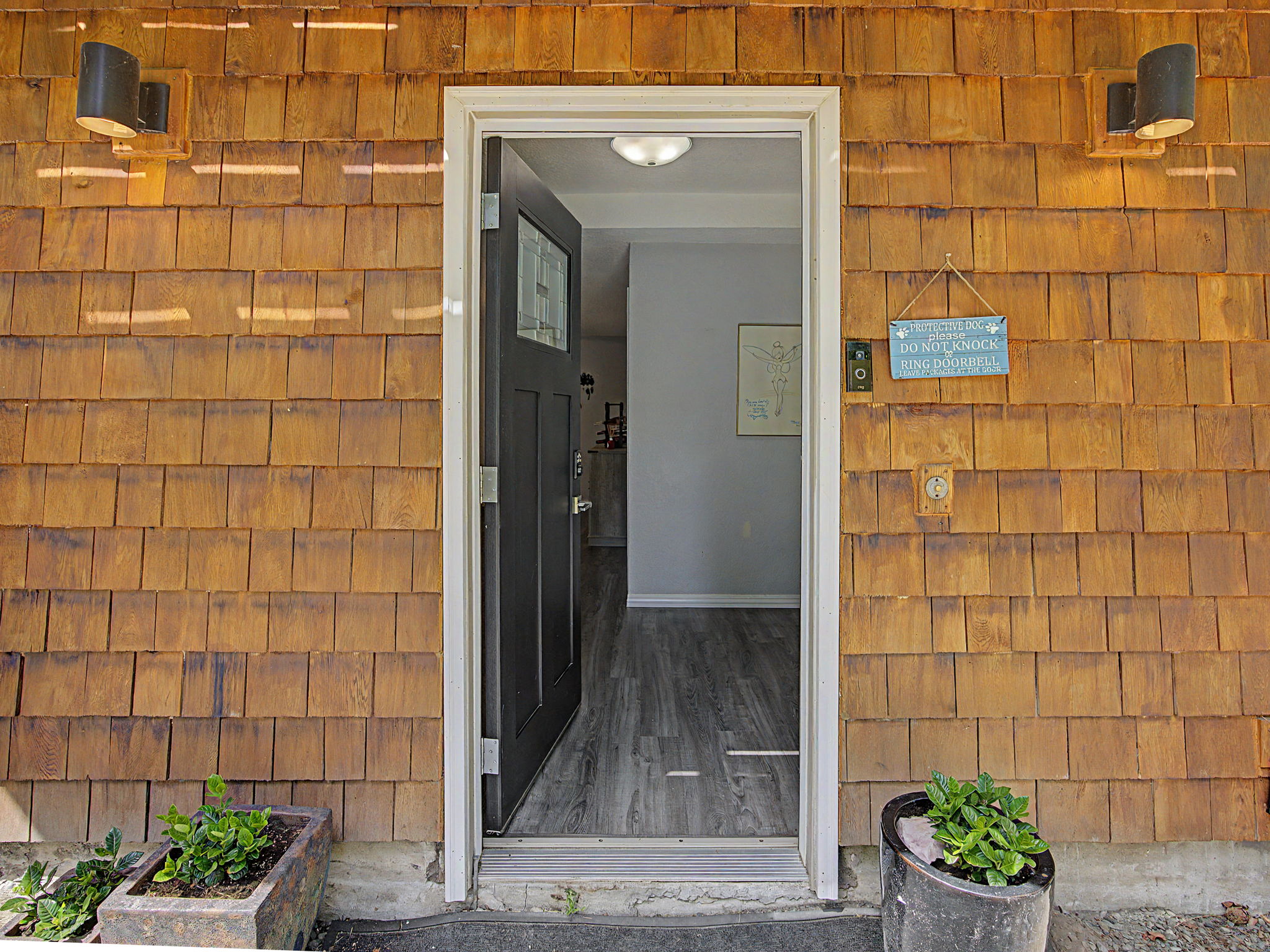  Photo 88