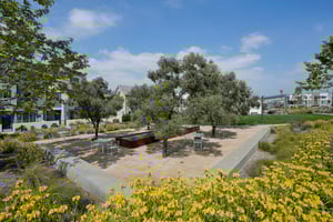 Hummingbird Ln-2404-041.jpg