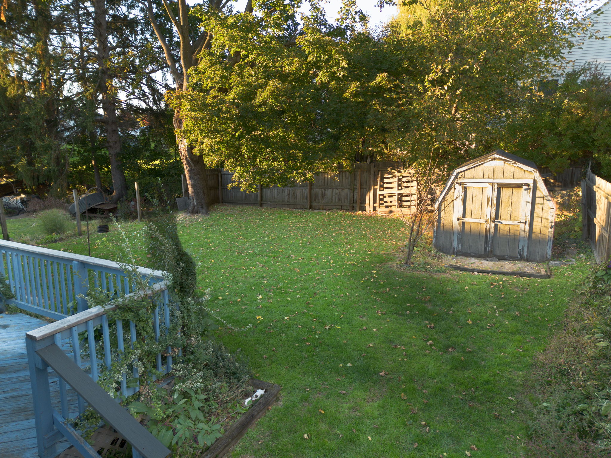 Photo 7