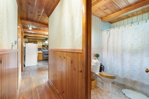  Photo 41