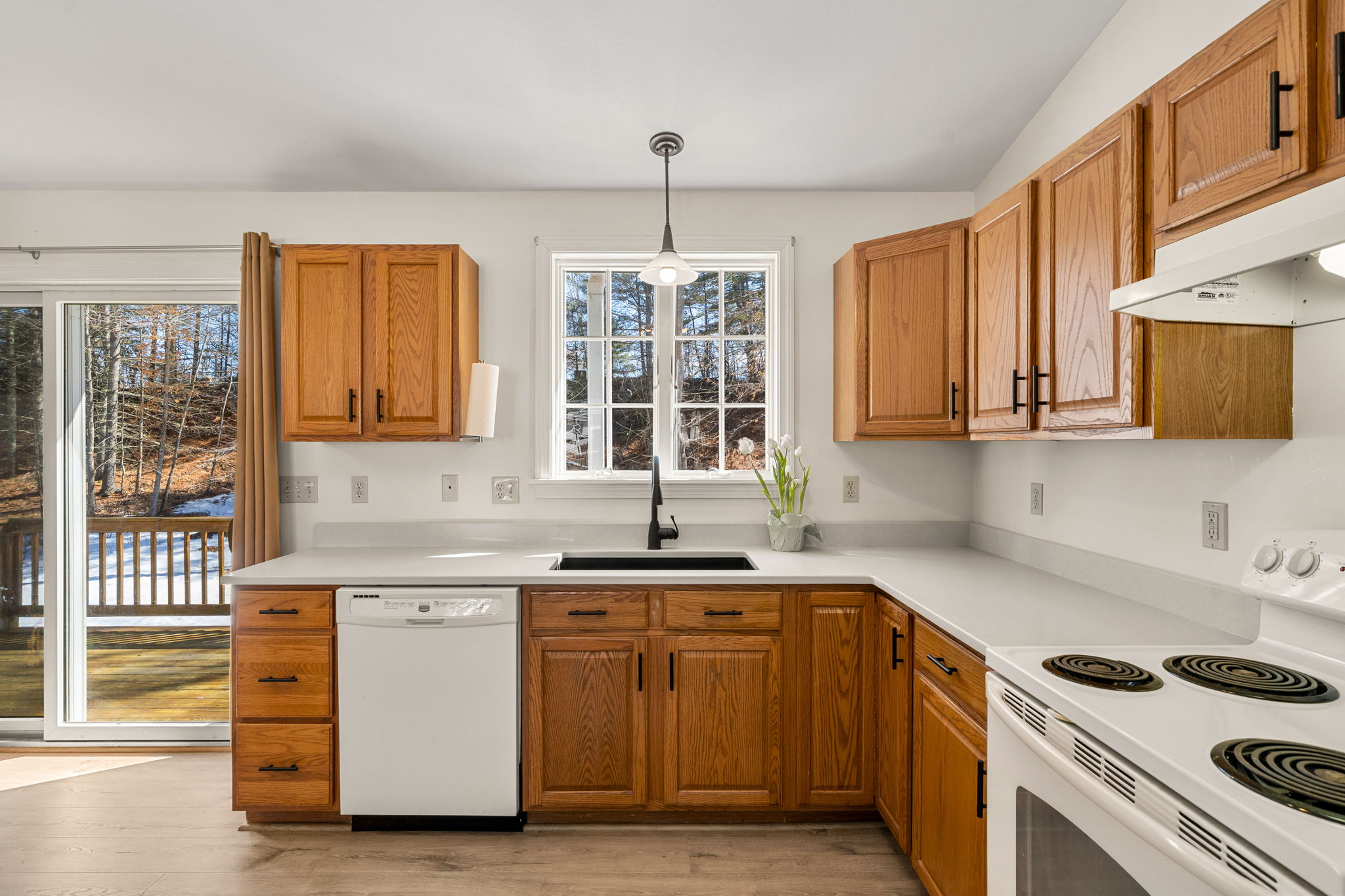 27 Barnes Ave, Alton, NH 03809, USA Photo 63