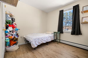 27 Barnes Ave, Alton, NH 03809, USA Photo 16