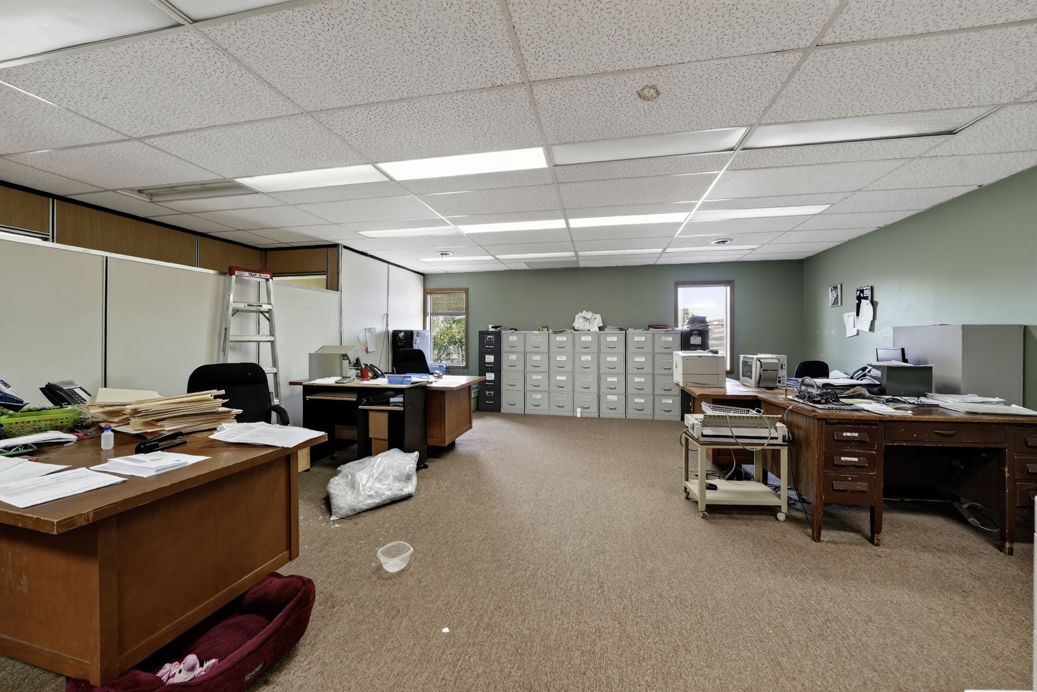  Photo 47