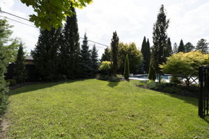  Photo 201