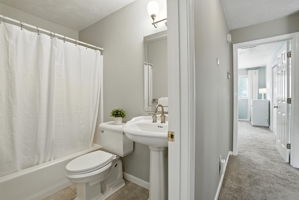  Photo 23