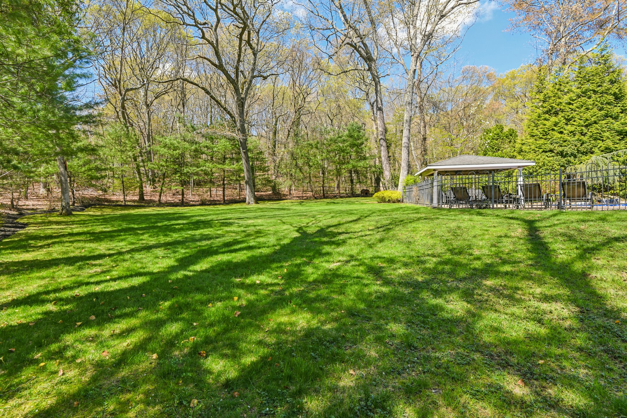 Treeview Dr-S2204-034.jpg