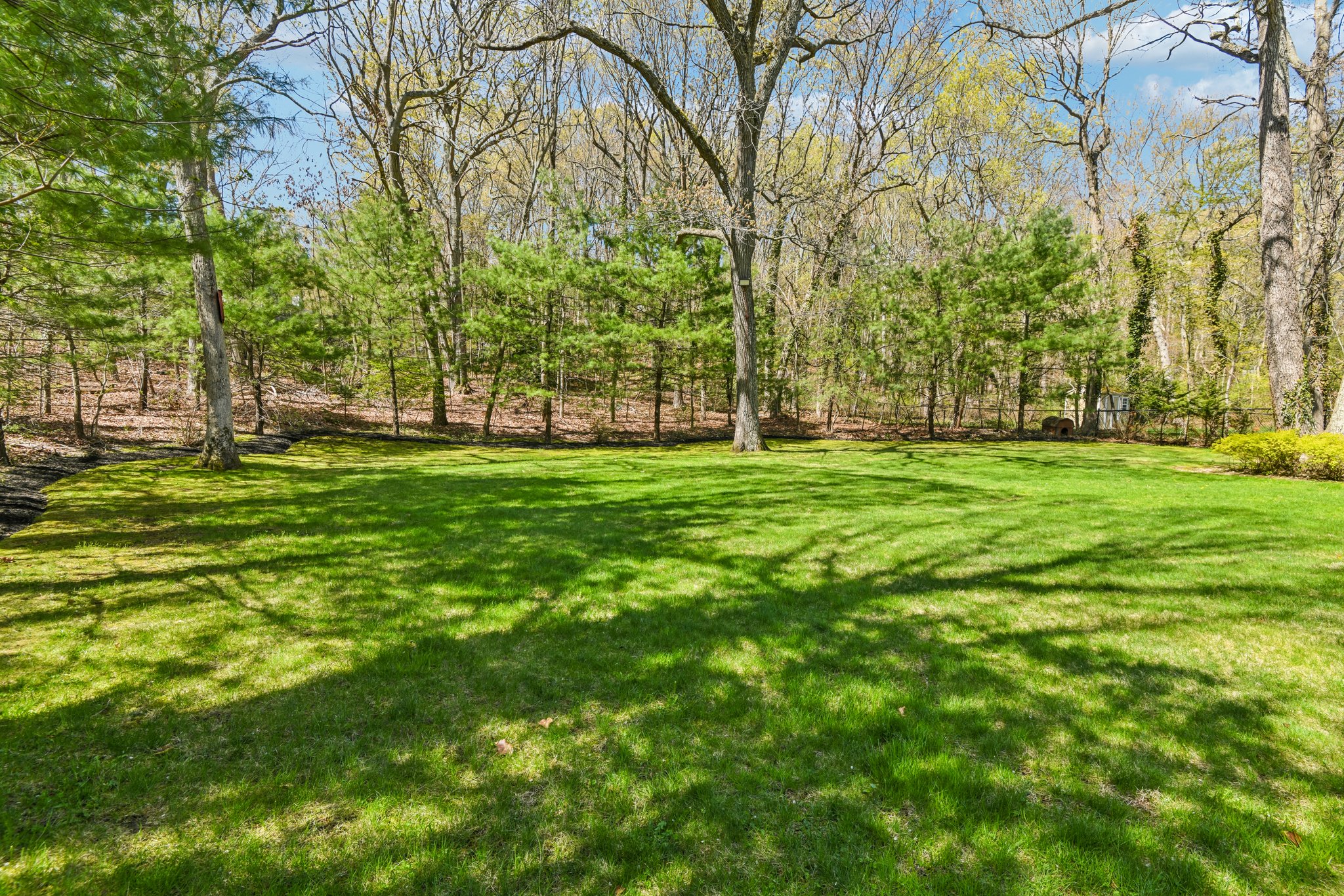 Treeview Dr-S2204-035.jpg