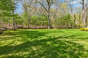 Treeview Dr-S2204-035.jpg