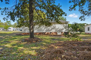 Back of House